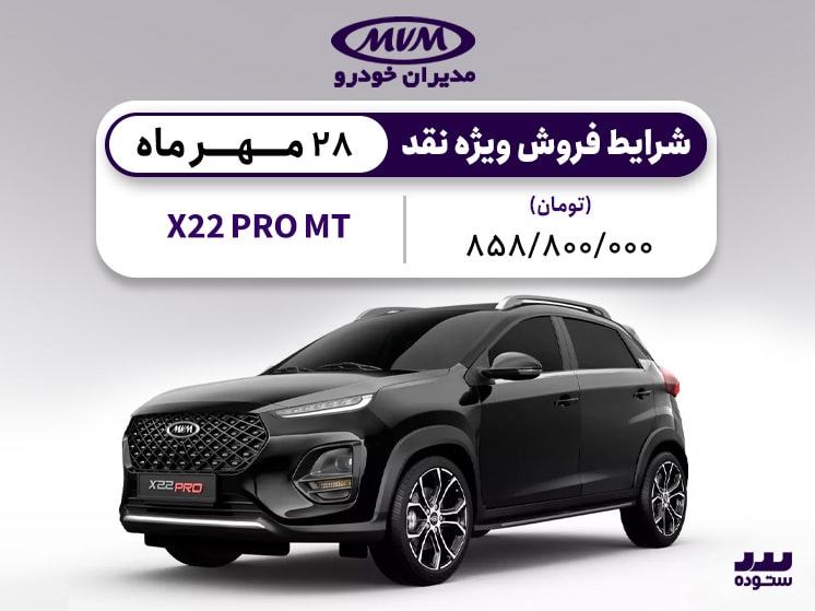 x22 pto mt